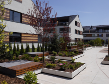 PATIO MIESZCZAŃSKA - B/II/1/7 217947