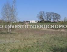 Działka, na sprzedaż, Gruszczyn, 16800 m2 5328703