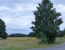 4 działki rolne z WZ, razem 8,85ha 5359024