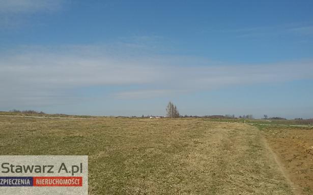 Działka, na sprzedaż, Niewodna, 1300 m2 5243609