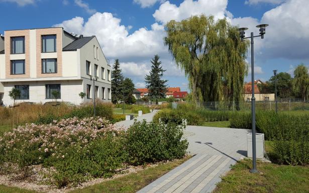Fiołkowa Park - 5 4388232