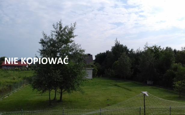 DOM 160m2 na działce 5000m2 5357434