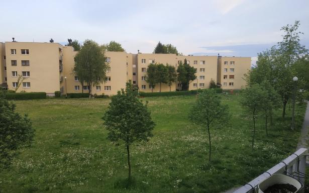 Mieszkanie 2-pokojowe Tychy Tołstoja - wolne od zaraz 5357443