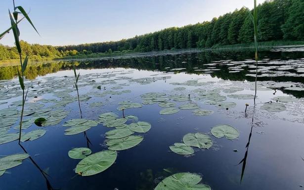 Działka rekreacyjna z domkiem letniskowym nad jeziorem. 5358135