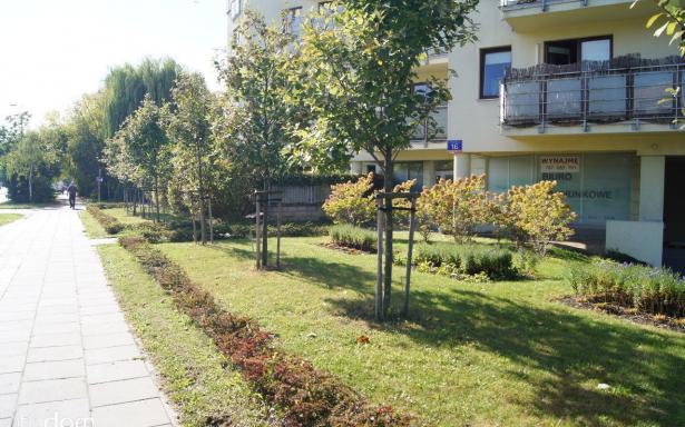 Bezpośrednio, lokal użytkowy wynajmę, 33,5 m2, Warszawa-Ursynów. 5358383