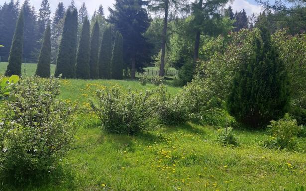 Sprzedam dom w Zakopanem z dużą działką budowlaną 5358425