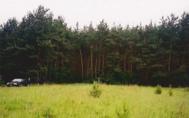 Działka, na sprzedaż, 23000 m2 5241830