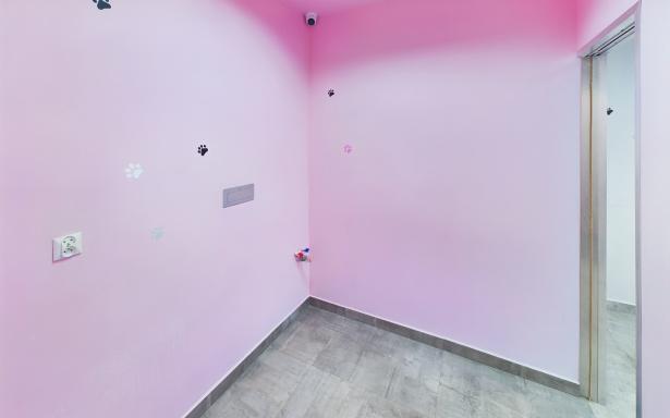 NOWA CENA | Lokal handlowo-usługowy | Świdnik 5358951