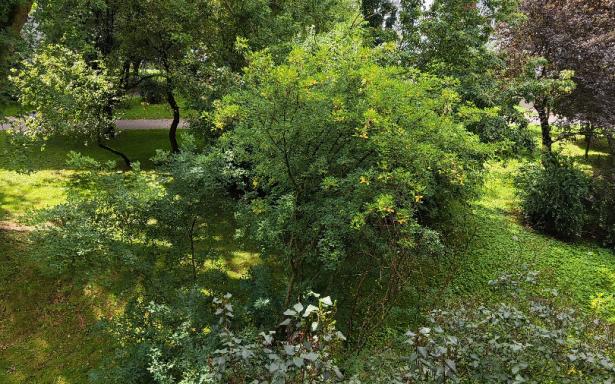 Sprzedam mieszkanie - bezpośrednio 5358979
