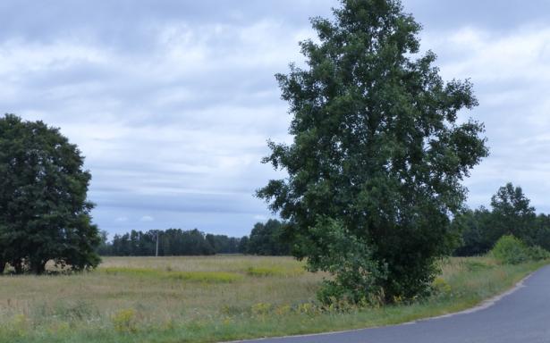 4 działki rolne z WZ, razem 8,85ha 5359024