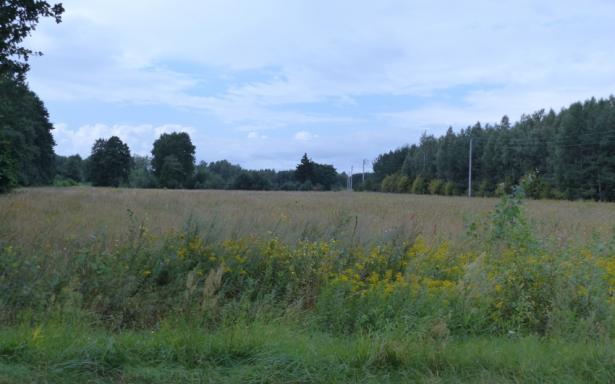 4 działki rolne z WZ, razem 8,85ha 5359025