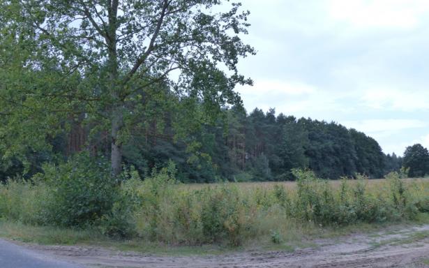 4 działki rolne z WZ, razem 8,85ha 5359026