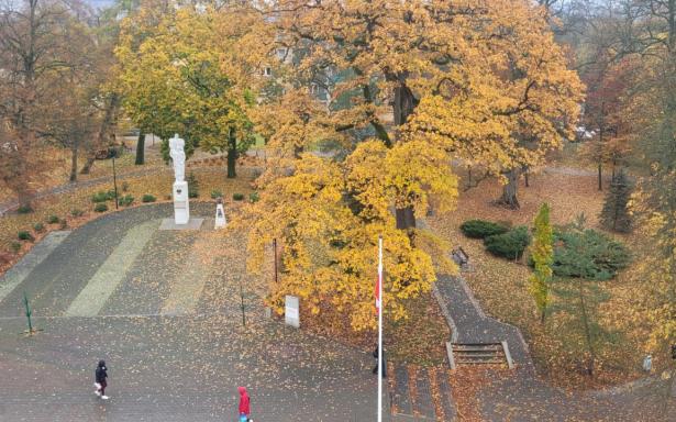 Na sprzedaż 4-pokojowe mieszkanie w centrum miasta – 74,9 m² 5359038