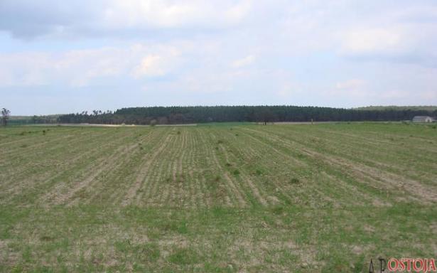 Działka, na sprzedaż, Kadłub, 1000.00 m2 5356846