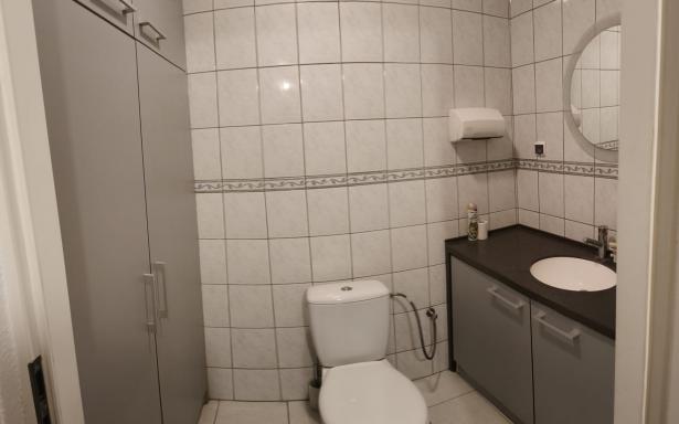 Biuro+hale magazynowe 394 m2/Komorniki A2/ działka 1251 m2 5359112